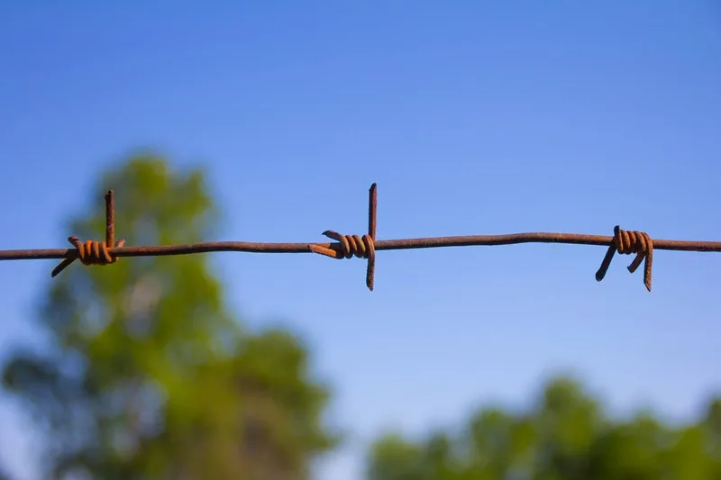 Section 234 of the Insolvency Act cannot be used to evict trespassers